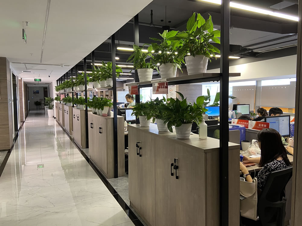 20251206/4a5a4ab81d223f101b68d8997ffcf3a3.jpg /tmp/phpvCHIDj